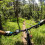 Draadloze fietssnelheidsmeter/fietscomputer rood 6