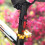 LED bicycle tail light rechargeable waterproof 1 pack 7