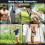Camping Shower 3.7V 8000mAh Rechargeable Camp Shower 7