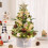 Mini Christmas Tree with Lights White Flocked Tabletop Tree 6