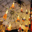 Halloween pumpkin string lights orange red 10 ft 5