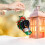 Weihnachtsschmuck in Dackelform, 1 Stück 4