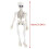 Modello di scheletro di Halloween a figura intera, mini figura 2