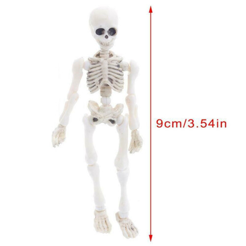 Modello di scheletro di Halloween a figura intera, mini figura 1