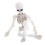 Modello di scheletro di Halloween a figura intera, mini figura 3