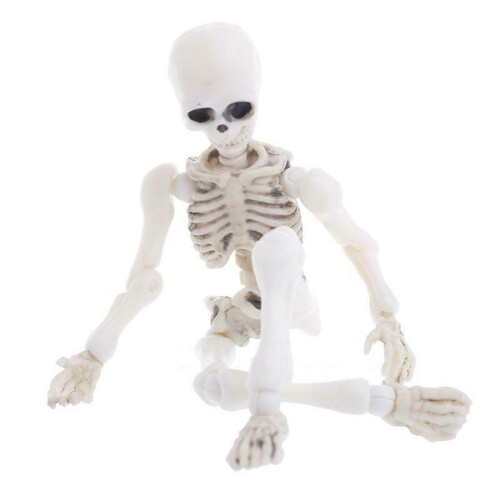Modello di scheletro di Halloween a figura intera, mini figura 2