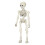 Modello di scheletro di Halloween a figura intera, mini figura 6