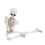 Modello di scheletro di Halloween a figura intera, mini figura 7