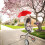 Parasol med klemme til barnevogns- og strandstole 5