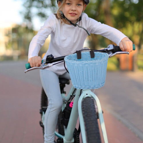 Cykelrem til børnestyr 2