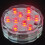 Fankiway, lampada subacquea a LED per acquario con telecomando. 6