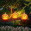 Solar LED Pumpkin Light Waterproof Outdoor Decor 1 Pack 3