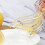 Bird-shaped clear lemon extractor 1 piece 6