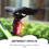 Bike Rear Tail Light with Turn Signal Function 4