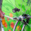 Bike Wheel Magnet Sensor for Odometer and Stopwatch 4