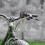 Cykelhastighedsmåler Kilometertæller Multifunktionscykelcomputer 3