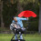 Parasol med klemme til barnevogns- og strandstole 3
