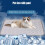 Self-Cooling Dog Mat for Large Pets, Washable Ice Silk Pad 3