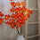 Capino Herbst-Ahornbaum-Lampe mit 20 Lichtern 6