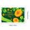 St. Patrick's Day Backdrop Banner Irish Theme 1 Pack 2