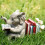 Elephant Animal Reading Studying Statue Bookends Animal Statue Decor Home Decor 8