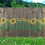 Floral Stencil Set Reusable Large Flower Templates 8
