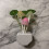 2PCS Mushroom LED Night Light Wall Lamp with Weed Leaf  Saving Bedroom Lamp EU Plug 2