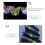 LED Christmas Tree Lights Decorative Lace String Lights 5
