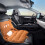 Car Cushion Winter Warm Siamese Pattern Cushion 4
