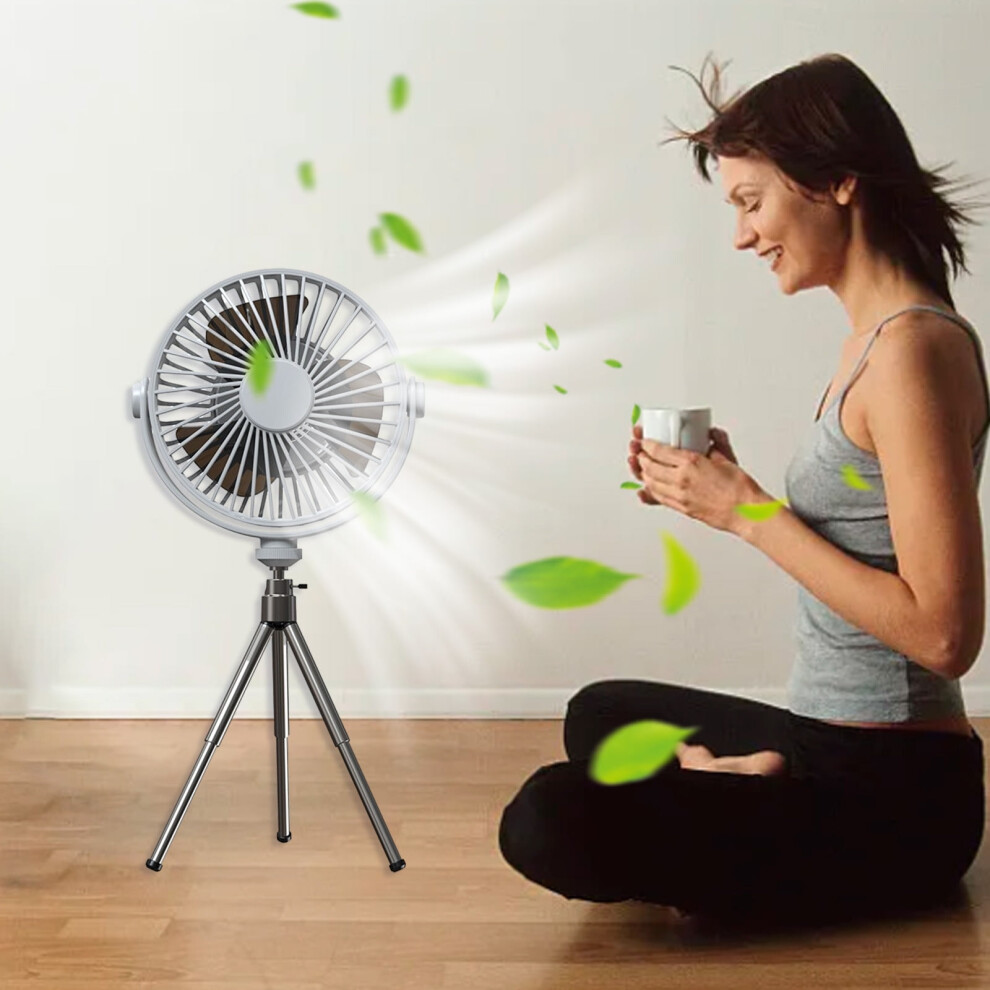 Portable Desk Fan With Rechargeable Battery Led Light Usb 901175812293