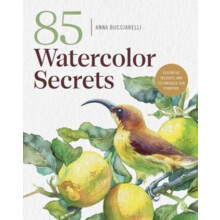101 Watercolor Secrets by Anna Bucciarelli Paperback Book