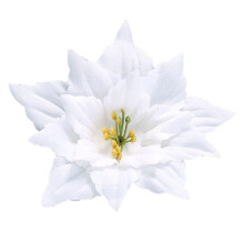 White poinsettia hanging flower decoration 20 cm