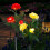 Rosette solari a LED per giardino esterno (confezione da 2) 1