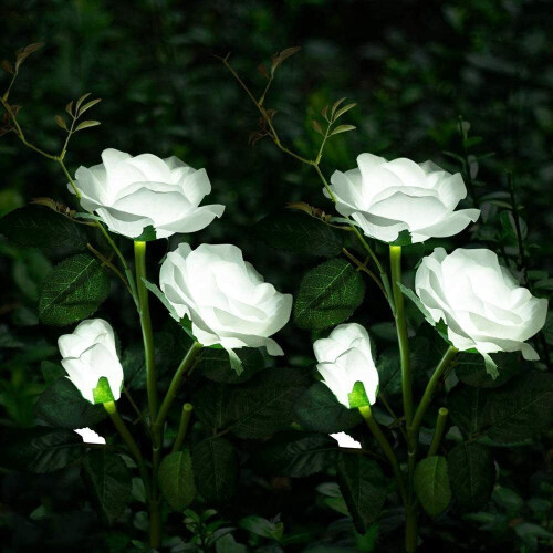 Rosette solari a LED per giardino esterno (confezione da 2)