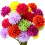 Artificial Marigold Flowers Bulk24pcs2.76inch multicolor 1