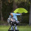 Adjustable stroller parasol with clamp 1 pack 3