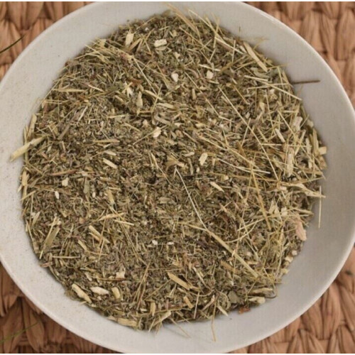 Absinto orgânico seco - Artemisia absinthium