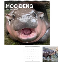 Calendario da parete Moo Deng Hippo 2025 (12 mesi)