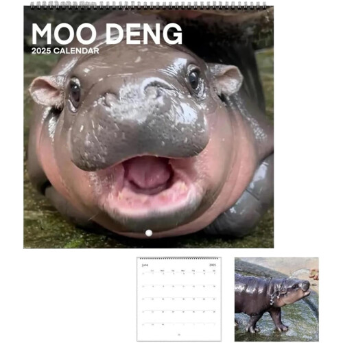 Calendario da parete Moo Deng Hippo 2025 (12 mesi)