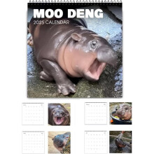 Calendário de parede Moo Deng com hipopótamo pigmeu 2025 (12 meses)