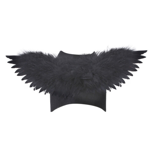 Costume d'ange pour petits chiens et chats