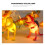 Dinosaur String Lights 4.9 FT 10 LED Battery Operated 6