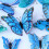 Butterfly Wall Stickers Multicolor 12pcs 5
