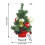Christmas tree decoration with pine needles and red fruit 2