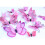 Butterfly Wall Sticker Magnetic PVC 12 pcs 8