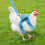 Pet traction rope for chickens1piece 5
