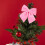 Velvet Christmas Tree Bow Decoration Pink 5