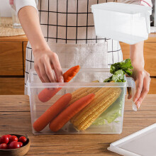 Boîte de rangement pour œufs Donemore, récipient rectangulaire en plastique pour aliments, rangement de cuisine, étagère de conservation pour