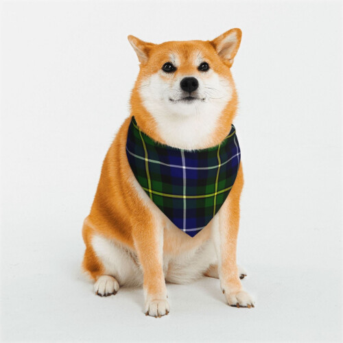 Lenço para cachorro xadrez ajustável e reversível, formato triangular (1 peça)