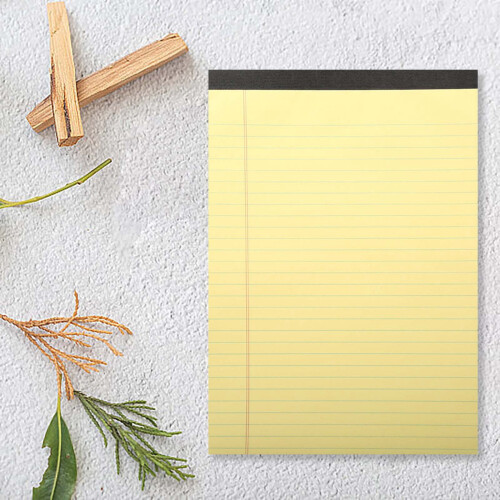 Alabaster Co Journal, fire linjert, 8x10, innbundet 2
